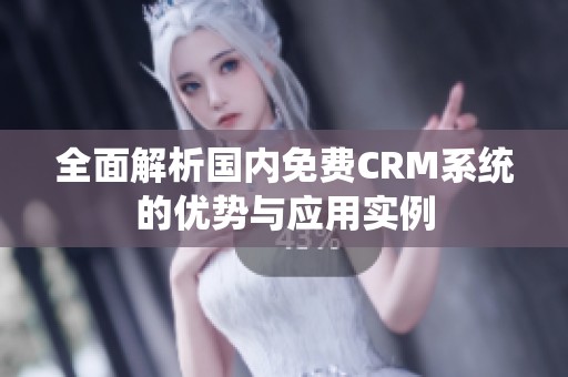 全面解析国内免费CRM系统的优势与应用实例