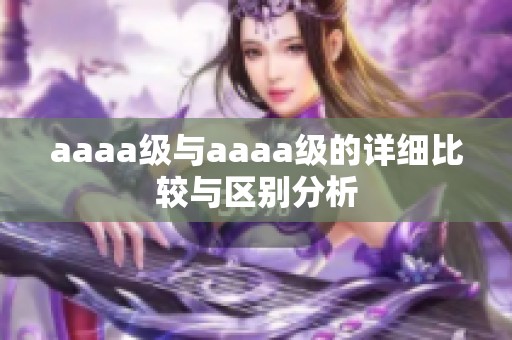 aaaa级与aaaa级的详细比较与区别分析