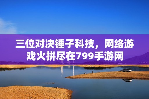 三位对决锤子科技，网络游戏火拼尽在799手游网