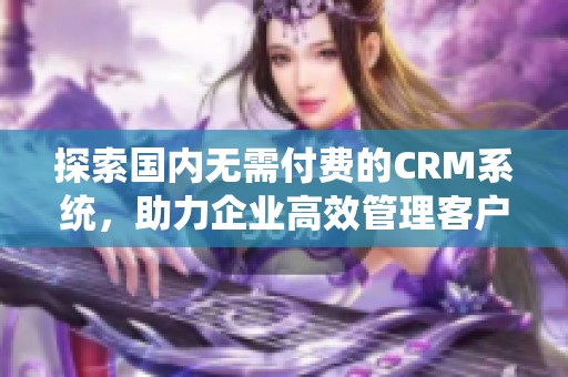 探索国内无需付费的CRM系统，助力企业高效管理客户关系